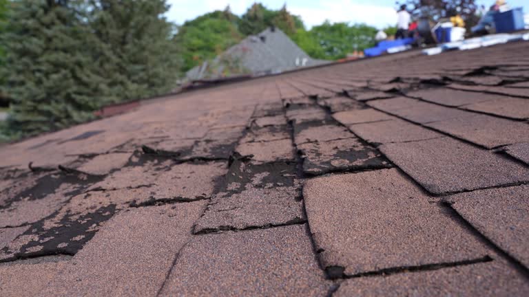 Best Roof Coating and Sealing  in Millers Creek, NC